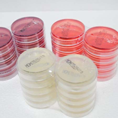 INSUMOLAB